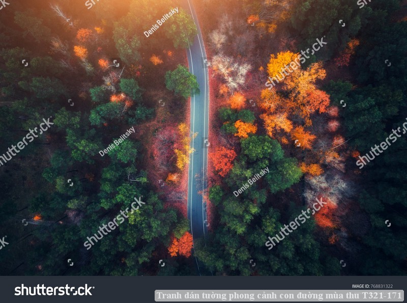 Tranh dán tường phong cảnh con đường mùa thu T321-171